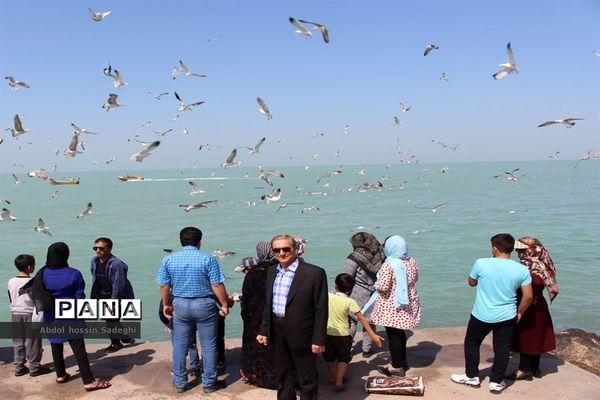 عکس‌های منتخب سال 1398 استان بوشهر