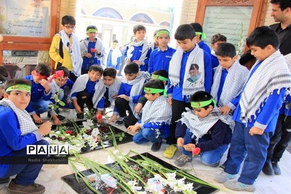 عکس‌های منتخب سال 1398 استان بوشهر