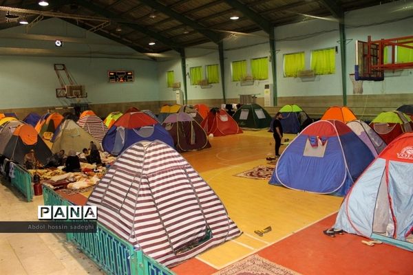 عکس‌های منتخب سال 1398 استان بوشهر