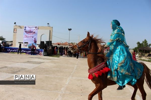عکس‌های منتخب سال 1398 استان بوشهر