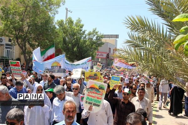 عکس‌های منتخب سال 1398 استان بوشهر