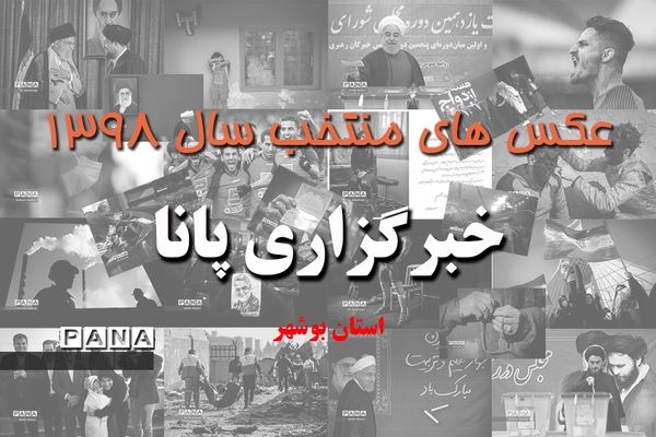عکس‌های منتخب سال 1398 استان بوشهر