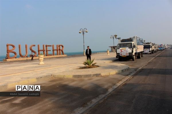 عکس‌های منتخب سال 1398 استان بوشهر