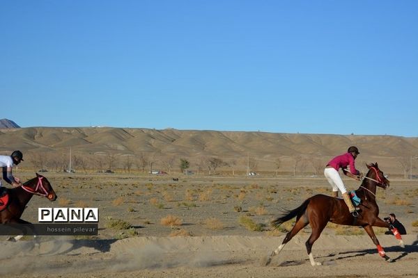 عکس‌های منتخب سال 1398 استان خراسان جنوبی