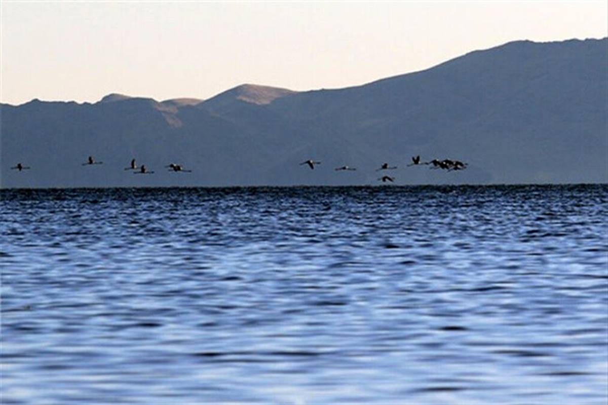 حال خوش دریاچه ارومیه ادامه دارد
