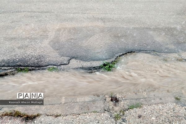 بارش باران بهاری در کازرون