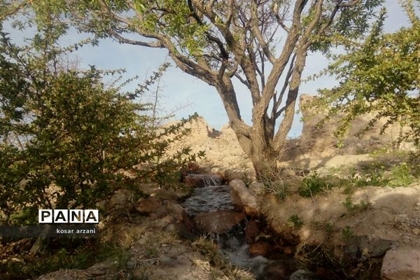 طبیعت بهاری روستا تقوک