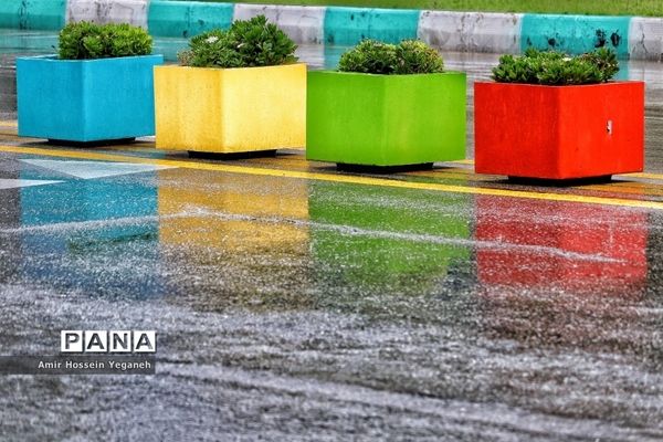 طراوت بهاری باران در روزهای کرونایی کیش
