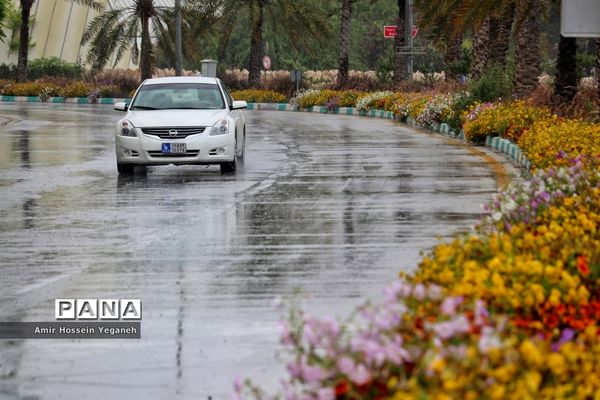 طراوت بهاری باران در روزهای کرونایی کیش