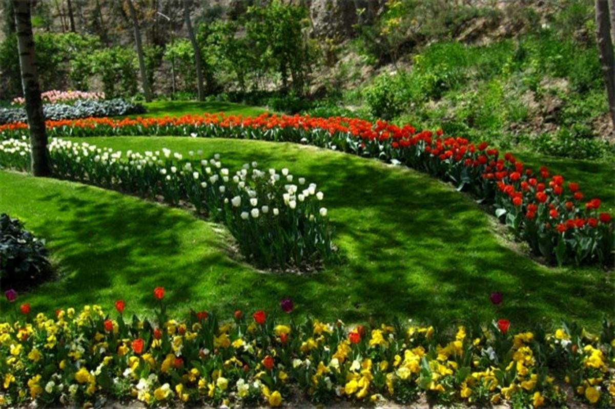 بیش از ۱۵۰ هزار نفر از باغ گل‌های کرج بازدید کرده‌اند