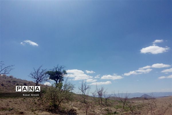 طبیعت زیبای روستا سنجدوک