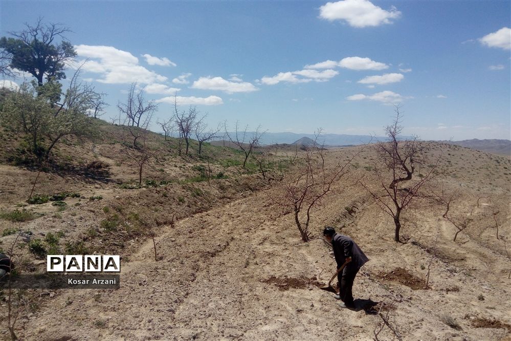 طبیعت زیبای روستا سنجدوک