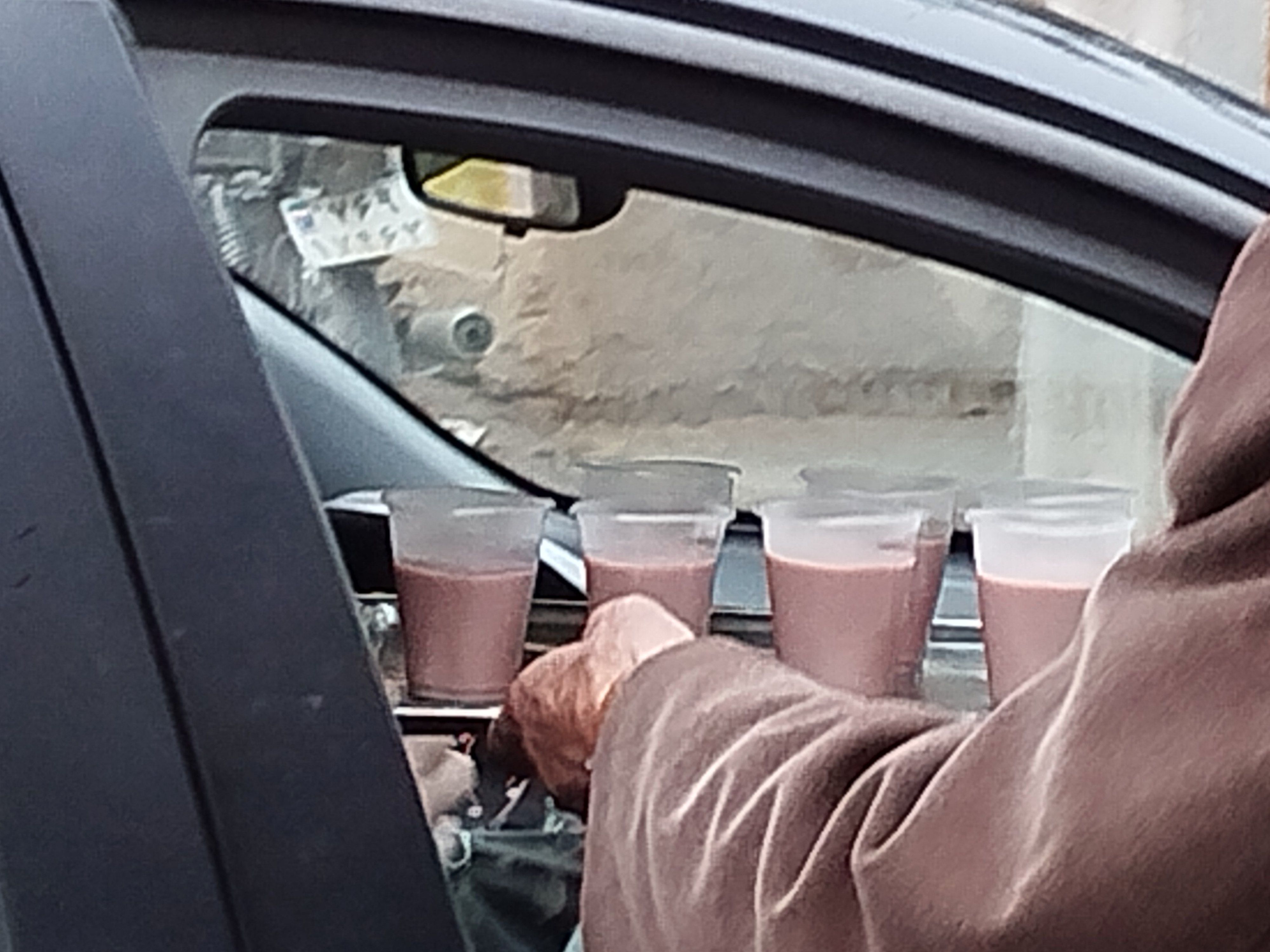 موکب‌های شادی در سطح شهرستان کاشمر 