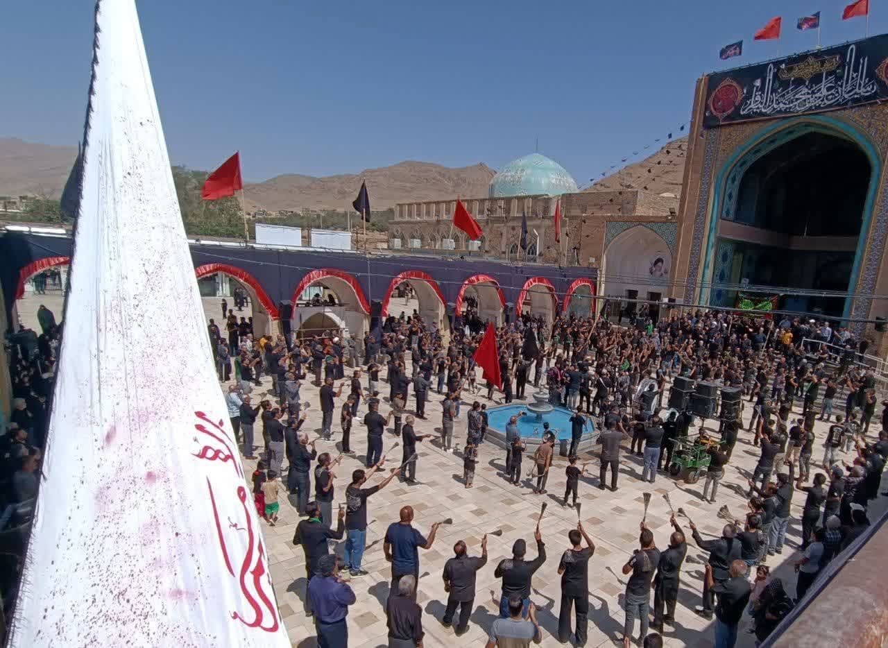 برگزاری عزاداری سالروز شهادت امام رضا(ع) در صحن آستان مقدس حضرت سلطانعلی(ع)