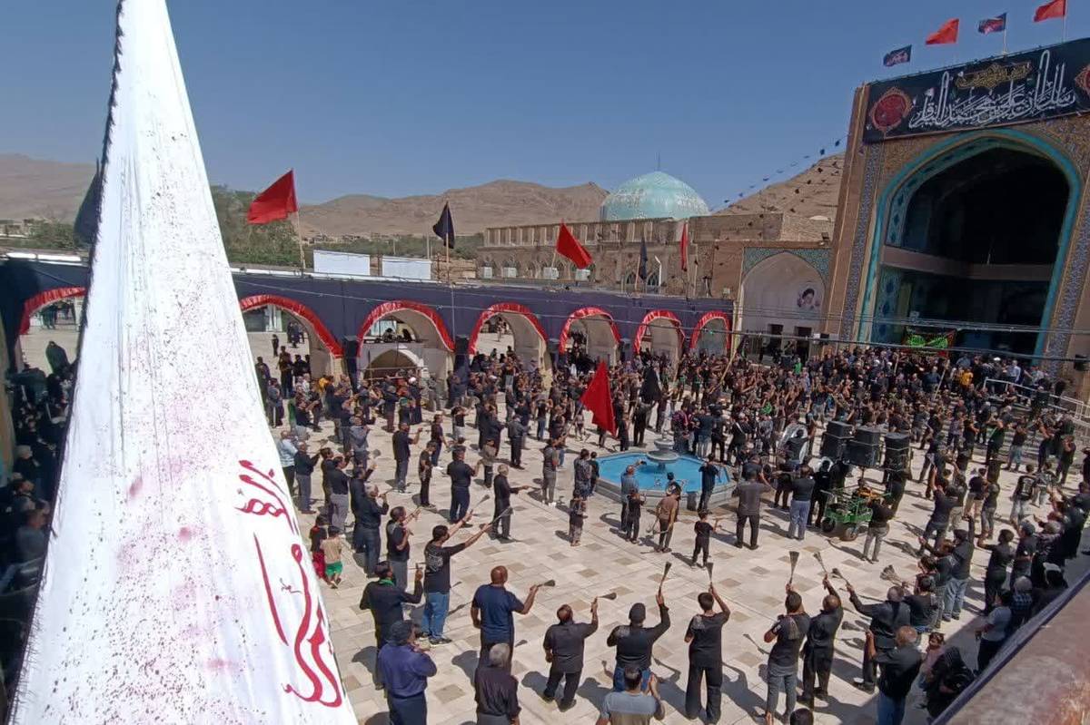 برگزاری عزاداری سالروز شهادت امام رضا(ع) در صحن آستان مقدس حضرت سلطانعلی(ع)