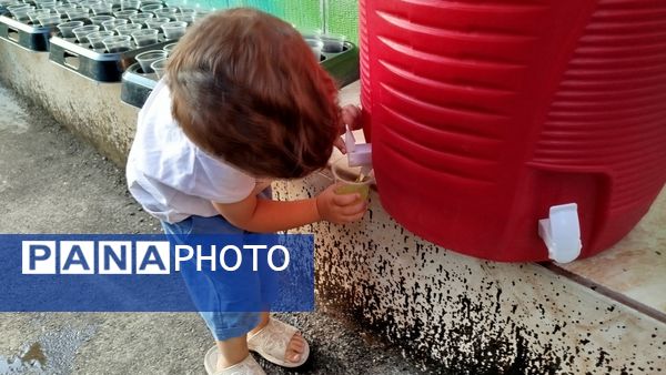 موکب باب‌الجواد؛ میزبانی از زائران با شمیم رضوی در مدرسه جمال فریدزاده 