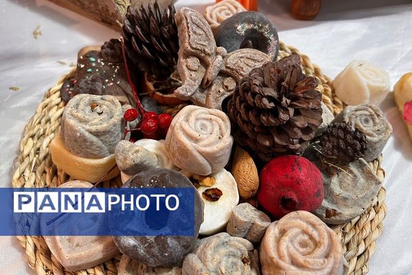 پایان کار نمایشگاه گیاهان دارویی پژوهش‌سرای کاوش کهریزک 