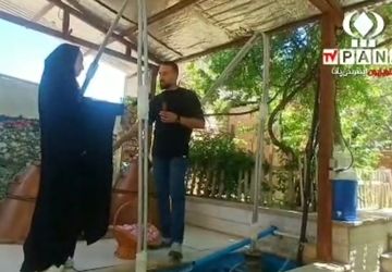 مراسم گلابگیری قمصر کاشان پایتخت گل و گلاب