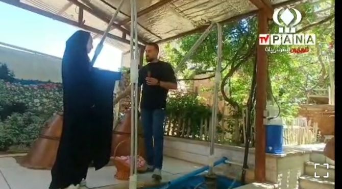 مراسم گلابگیری در قمصر کاشان، پایتخت گل و گلاب