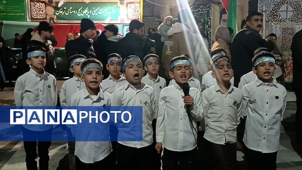 اجرای گروه های سرود در شهرستان کاشمر 