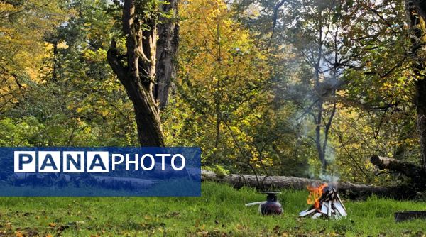 طبیعت بکر باران کوه استان گلستان
