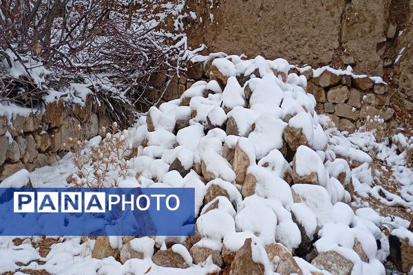 خودنمایی برف در شهر بار نیشابور