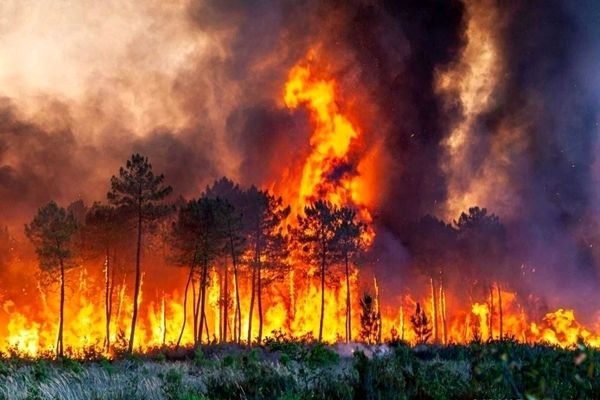 هشدار درباره افزایش آتش‌سوزی در جنگل‌ها و مراتع