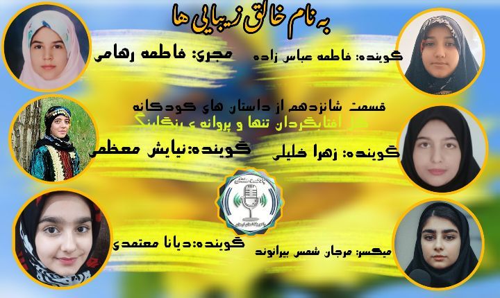 پروانه رنگارنگ و گل آفتابگردان