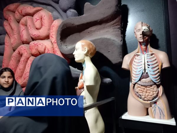 بازدید از پارک علمی تفریحی پروفسور بازیما مشهد