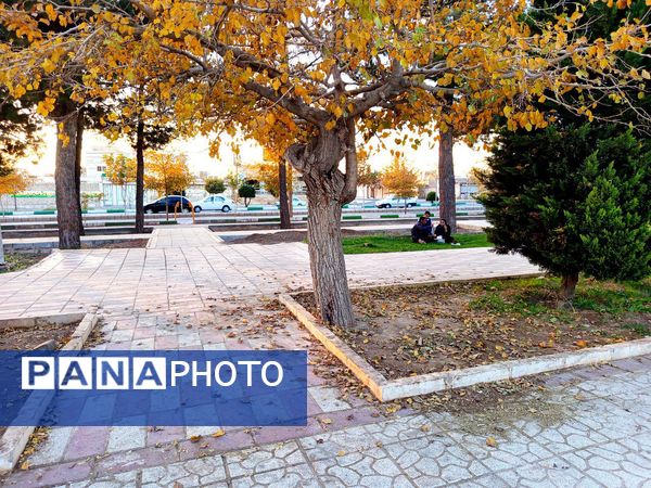 طبیعت زیبای کاشمر در پاییز