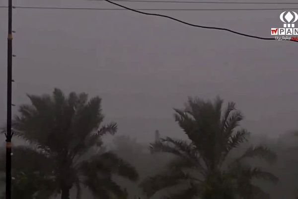 شادی مردم بخش ارم دشتستان از بارش باران