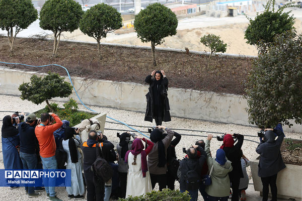 هفتمین روز از چهل و سومین جشنواره فیلم فجر