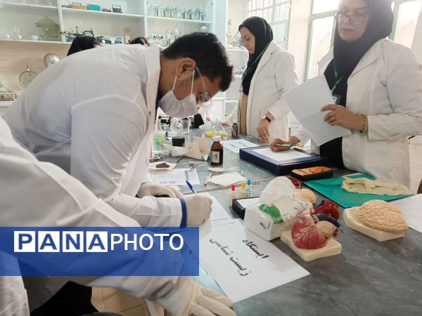 داوری ششمین دوره جشنواره علمی-پژوهشی پژوهشسرای دانشآموزی در هرمزگان
