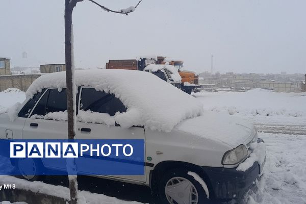 عروس فصل‌ها باری دیگر مهمان شهرستان بن