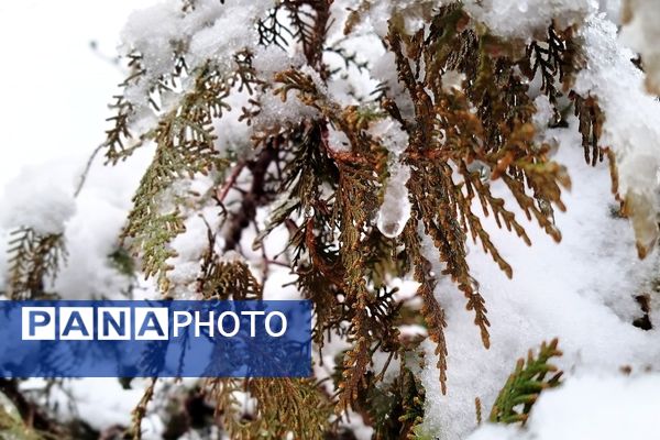 لردگان میزبان اولین برف زمستانی 