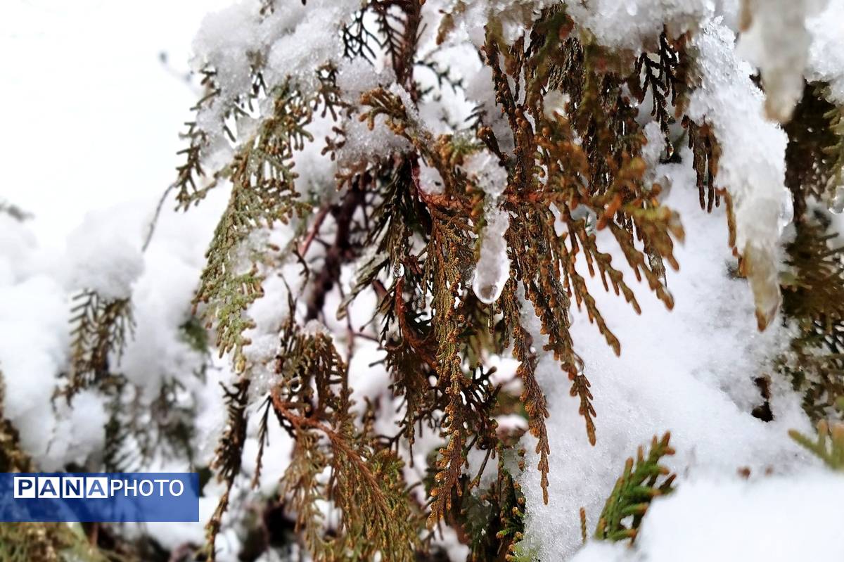 لردگان میزبان اولین برف زمستانی 