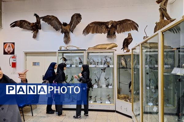 بازدید دانش‌آموزان از موزه زمین شناسی و جانور شناسی دانشگاه فردوسی مشهد