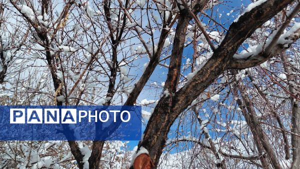 بارش اولین برف پاییزی در روستای نورآباد شازند