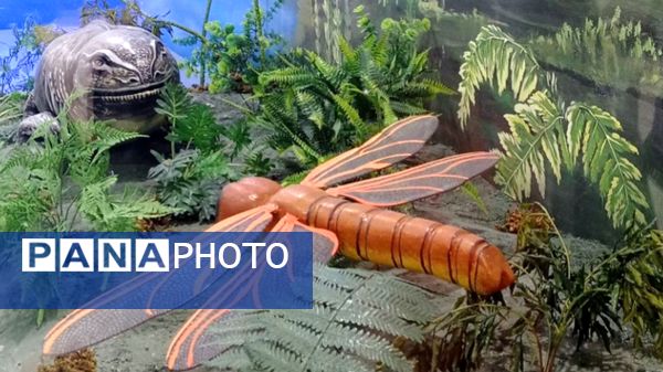 بازدید مدرسه ساره از پارک موزه علوم زمین