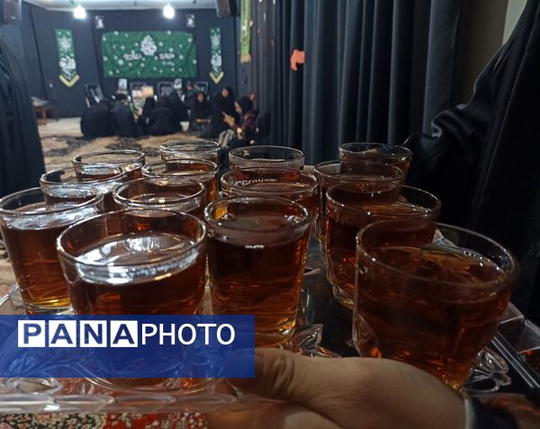 هیات دانش‌آموزی انصارالمهدی در روز تکریم همسران و مادران شهدا