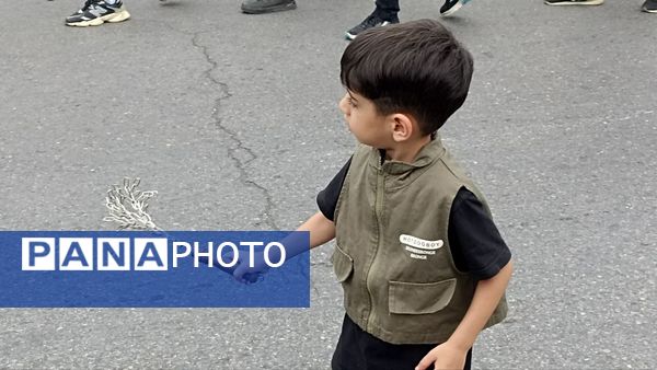 عزاداری تاسوعای حسینی در محمودآباد 
