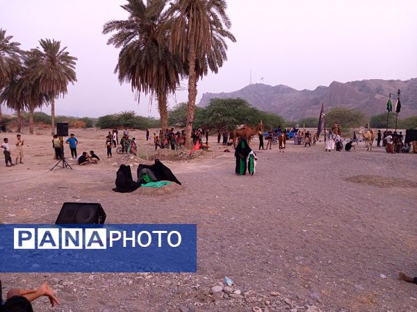 آیین باشکوه کاروان شام تا کربلا در میناب