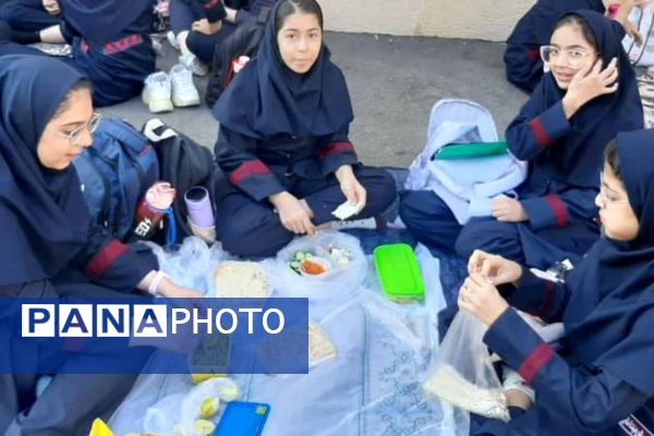 تضمین نشاط هفته با یک لقمه سلامتی