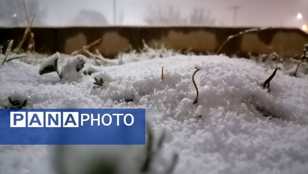 بروجن در پوشش سفیدی برف