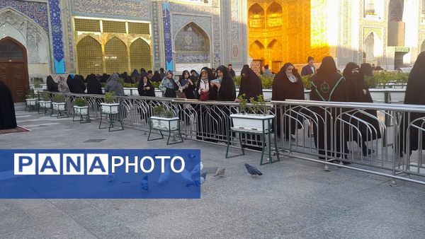 چهارشنبه‌ زیارتی خاص در حرم امام رضا(ع)؛ تولد امام جواد(ع) و زیارت