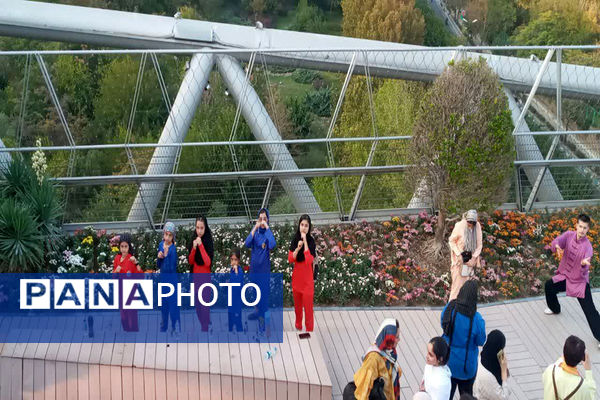 همایش بزرگ ووشو به‌مناسبت هفته تربیت‌بدنی در تهران