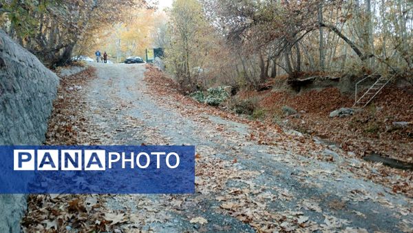 نگاهی کوتاه به طبیعت پاییزی امامزاده بابا پیر احمد (ع) شهرستان بن 