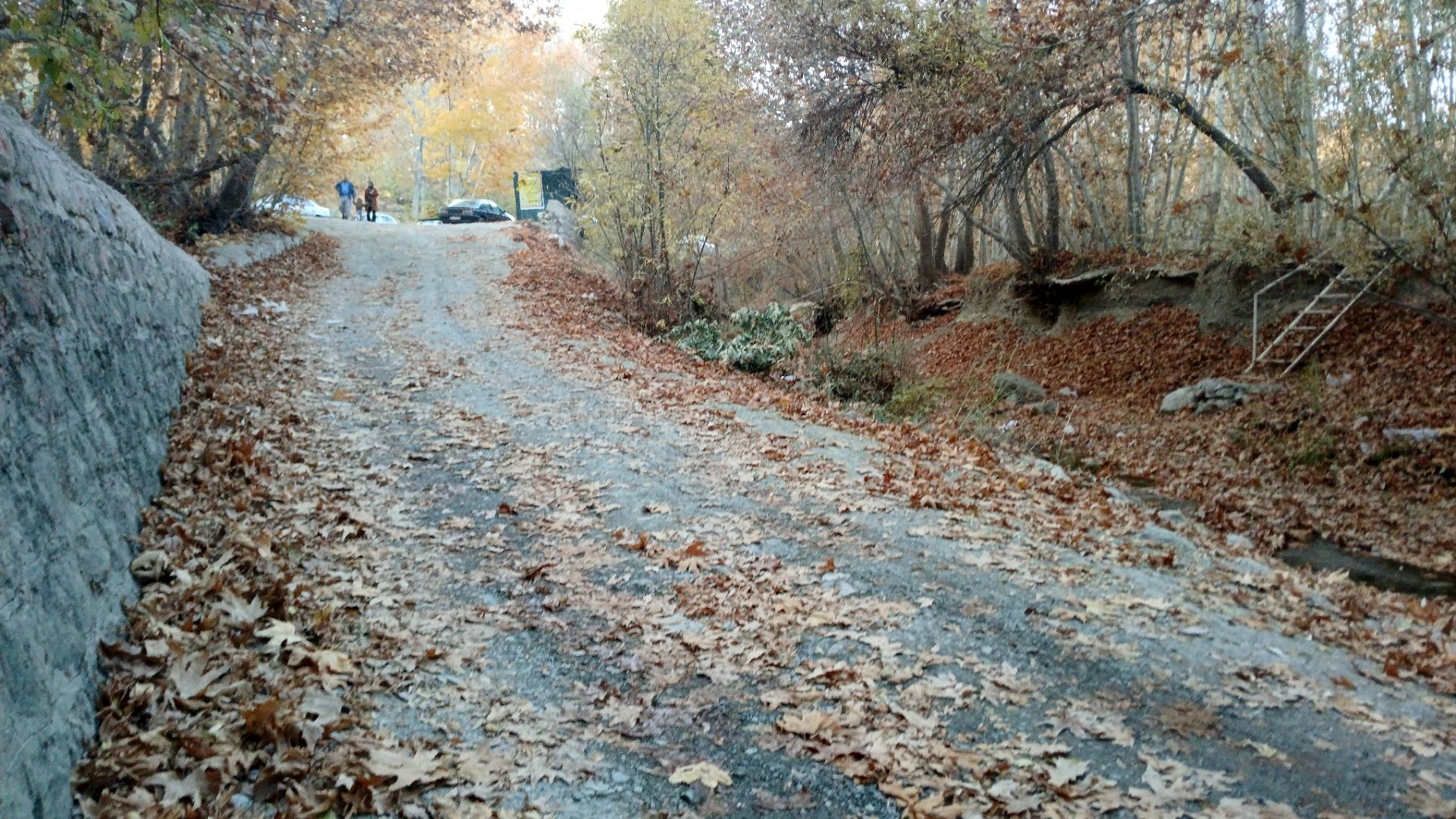 روزهای پایانی برای دیده شدن مدافعان گمنام تالاب‌ها