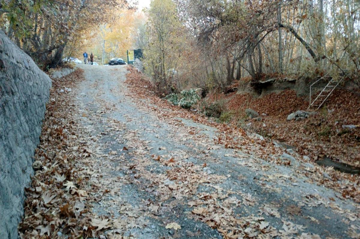 روزهای پایانی برای دیده شدن مدافعان گمنام تالاب‌ها