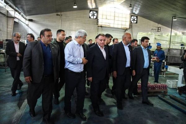وزیر تعاون: ایمنی معادن و حقوق کارگران خط قرمز ماست